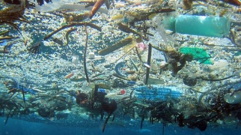 La pollution plastique tue